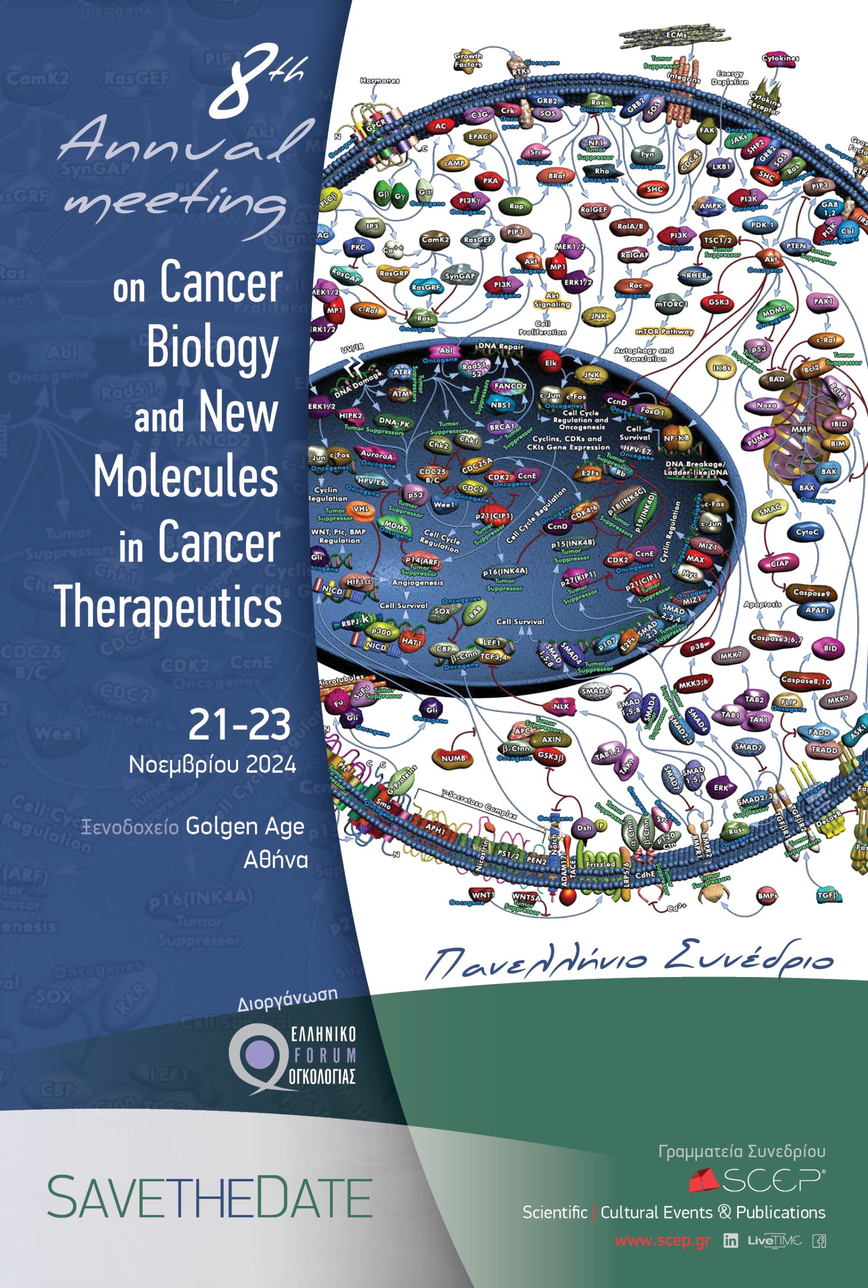 8TH ANNUAL MEETING ON CANCER BIOLOGY AND NEW MOLECULES IN CANCER THERAPEUTICS, Αθήνα, 21-23/11/2024